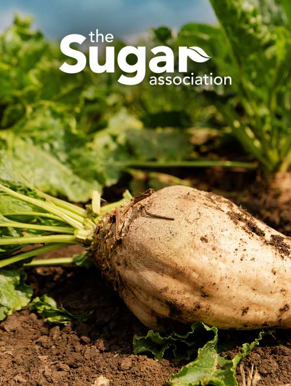 REQ The Sugar Association Advocacy Case Study