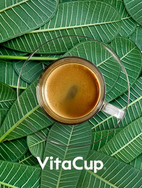 REQ VitaCup Digital Marketing Agency Case Study